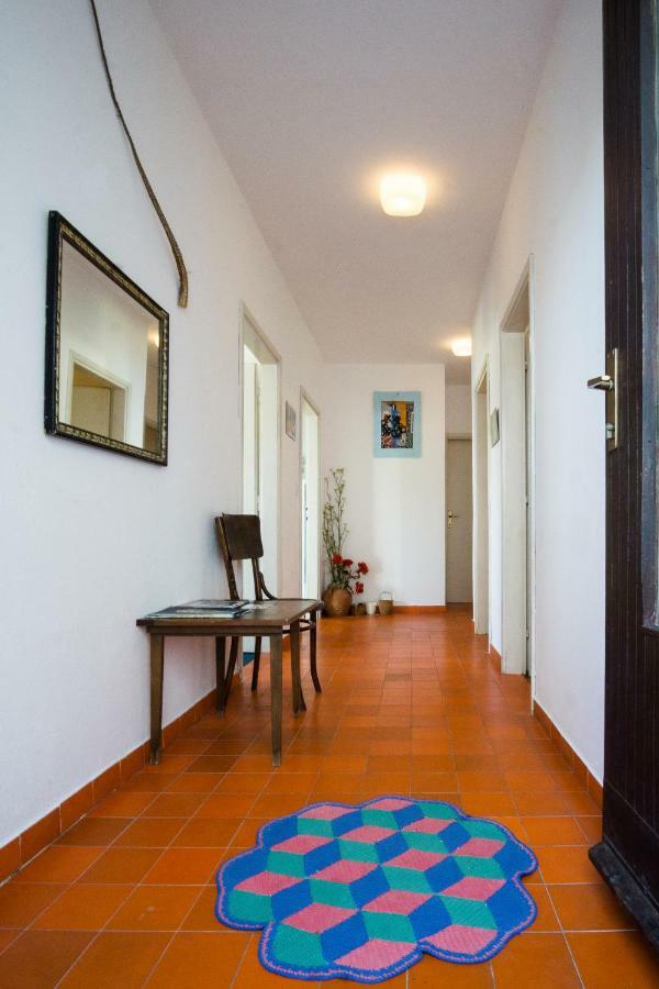 Apartments Podatok 4 Primošten Esterno foto